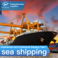 China  to Australia fast sea express courier delivery service amazon fba freight forwarder ocean cargo